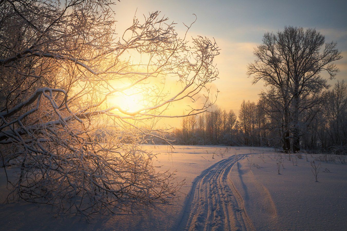 Зима, вечер, закат, след, снег, поляна, Смольский Евгений