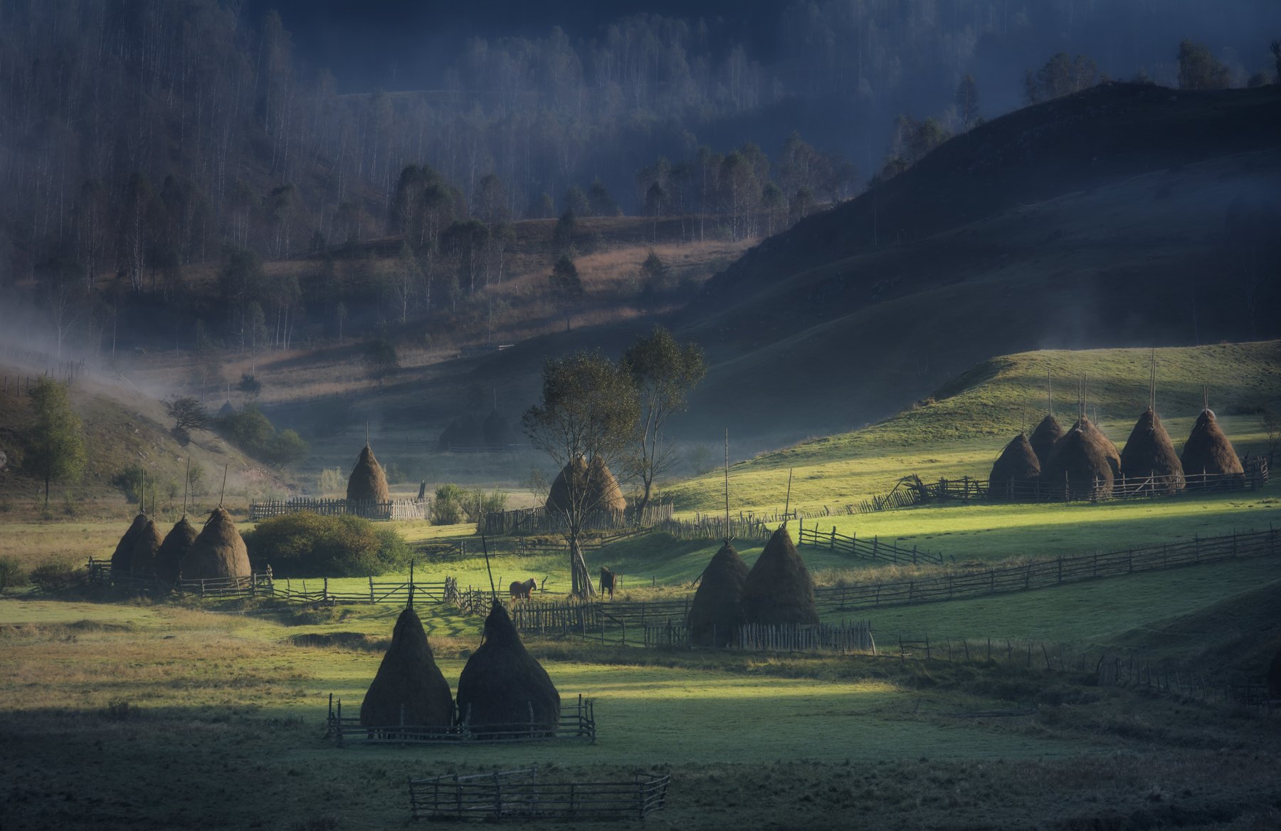 rural, idyll, landscape, village, mountain, river, sunrise, light, spring, horses, Genadi Dochev