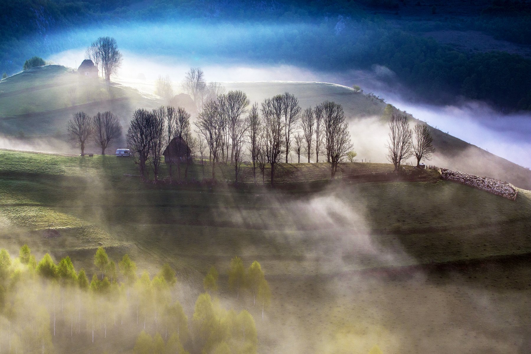 morning,mist,light,trees,fog,colors,, Marius Turc