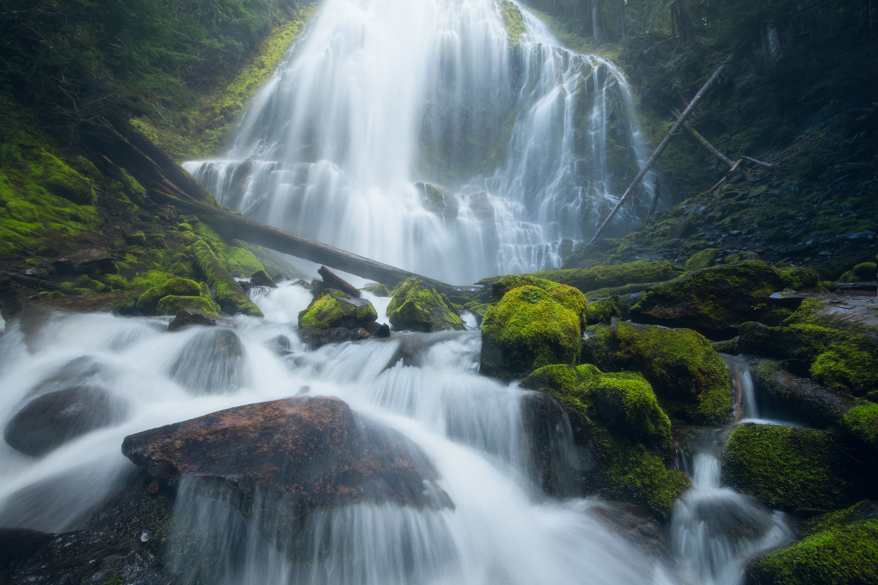 oregon, Nathaniel Merz