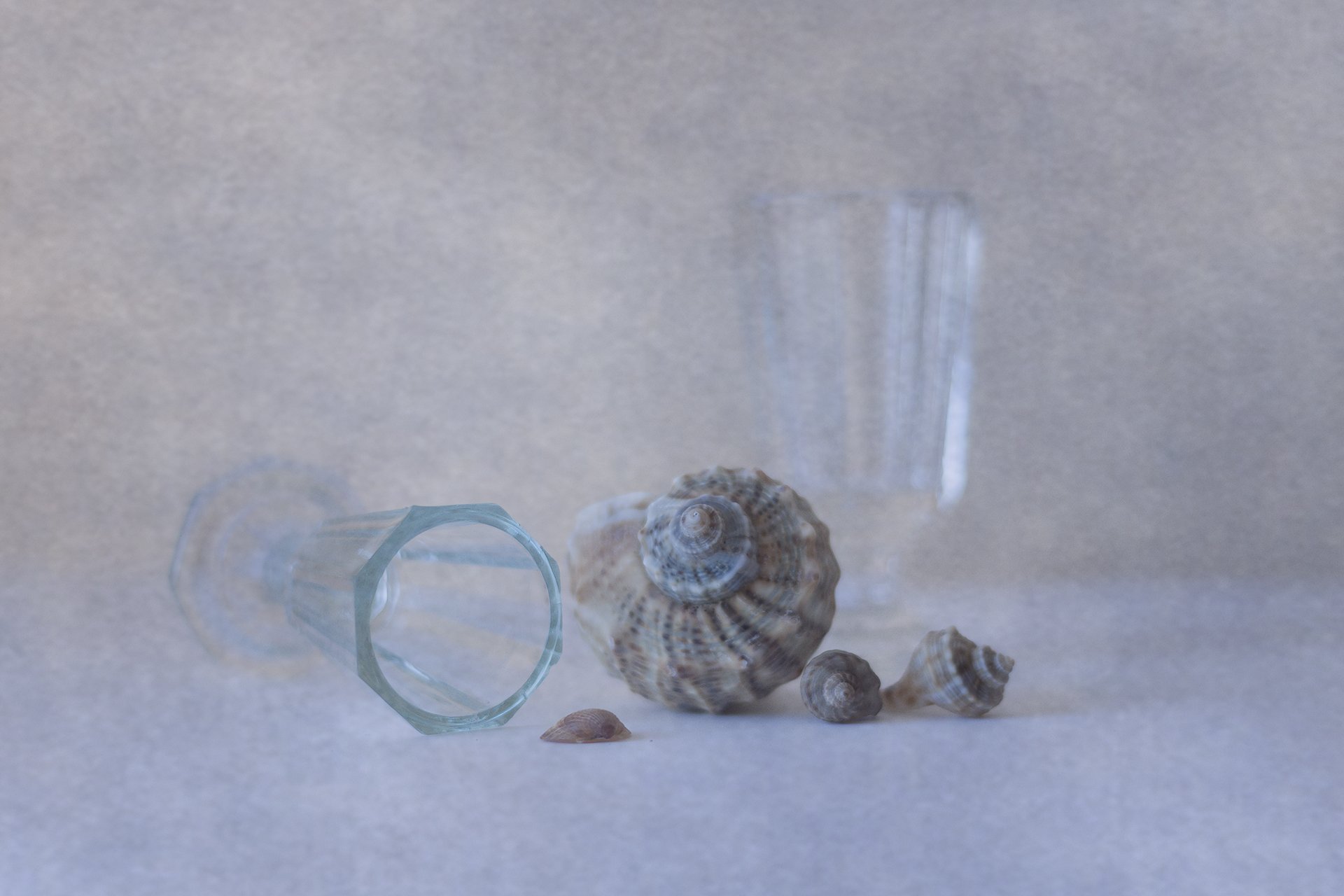 glass, shells, texture,, Anna