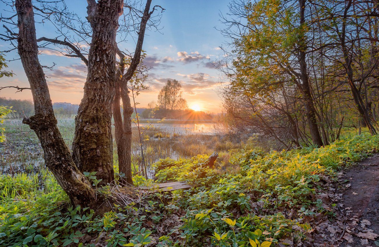 Фотограф Николай Андреев Фото