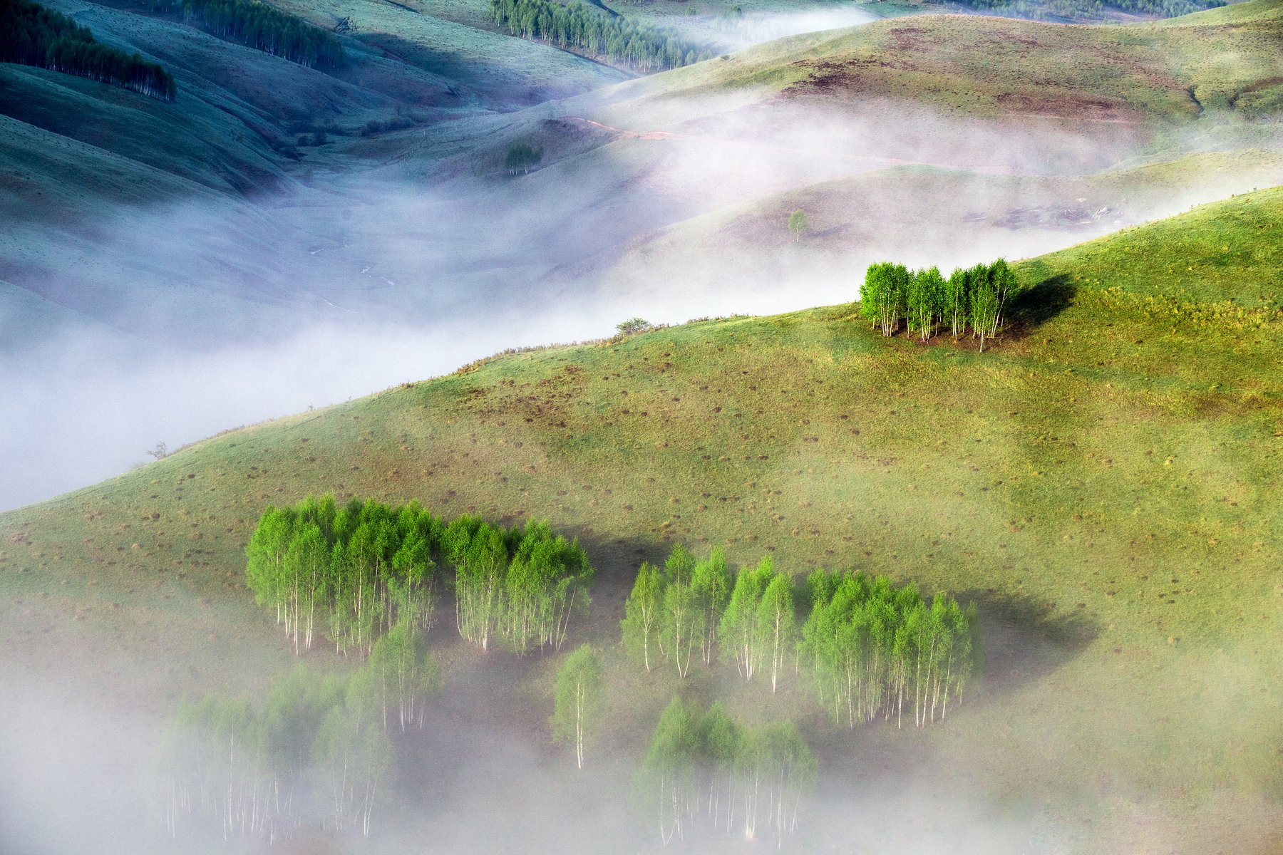 valley,fog,mist,colors,nature,, Marius Turc