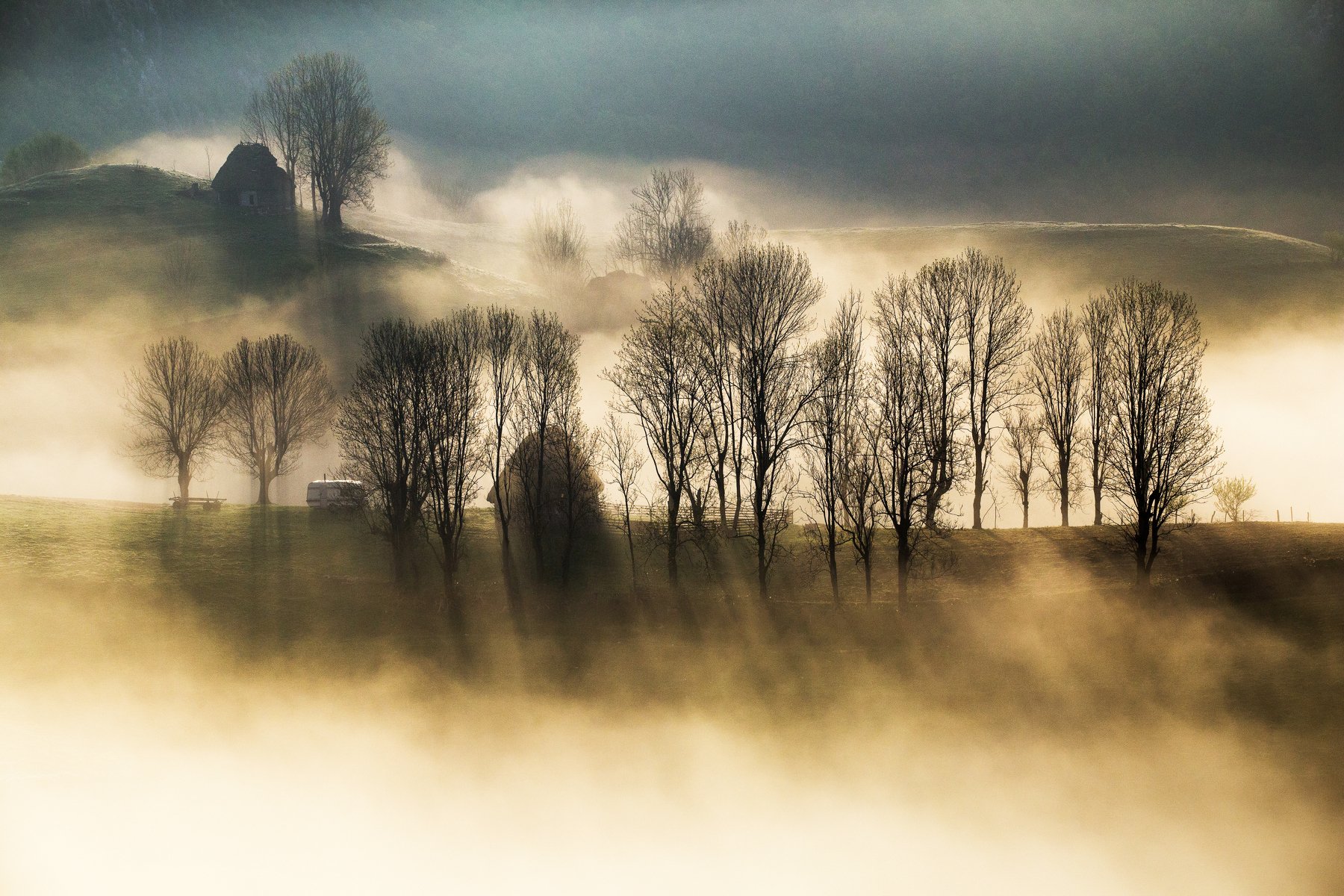light,mist,fog,nature,trees,hill,apuseni,romania,, Marius Turc