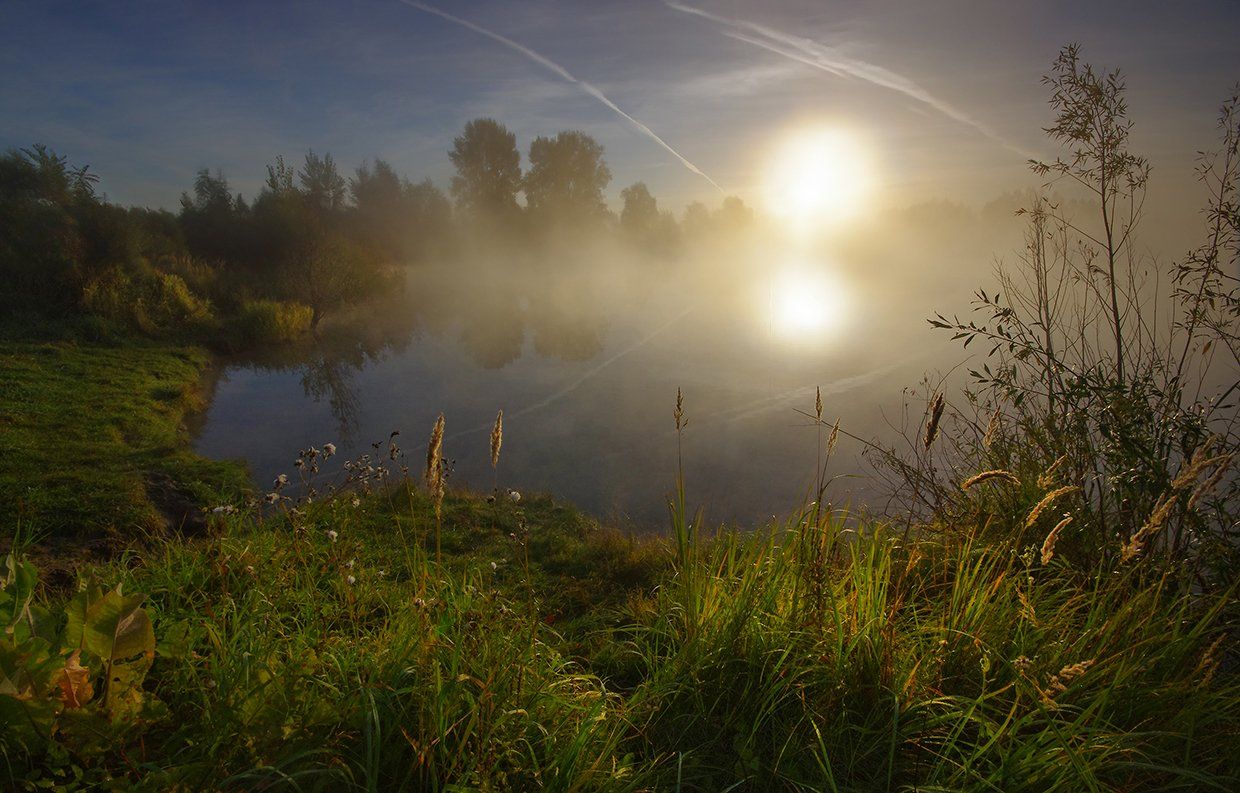 утро, рассвет, свет, осень, вода, лес, озеро, солнце, Валерий Чичкин