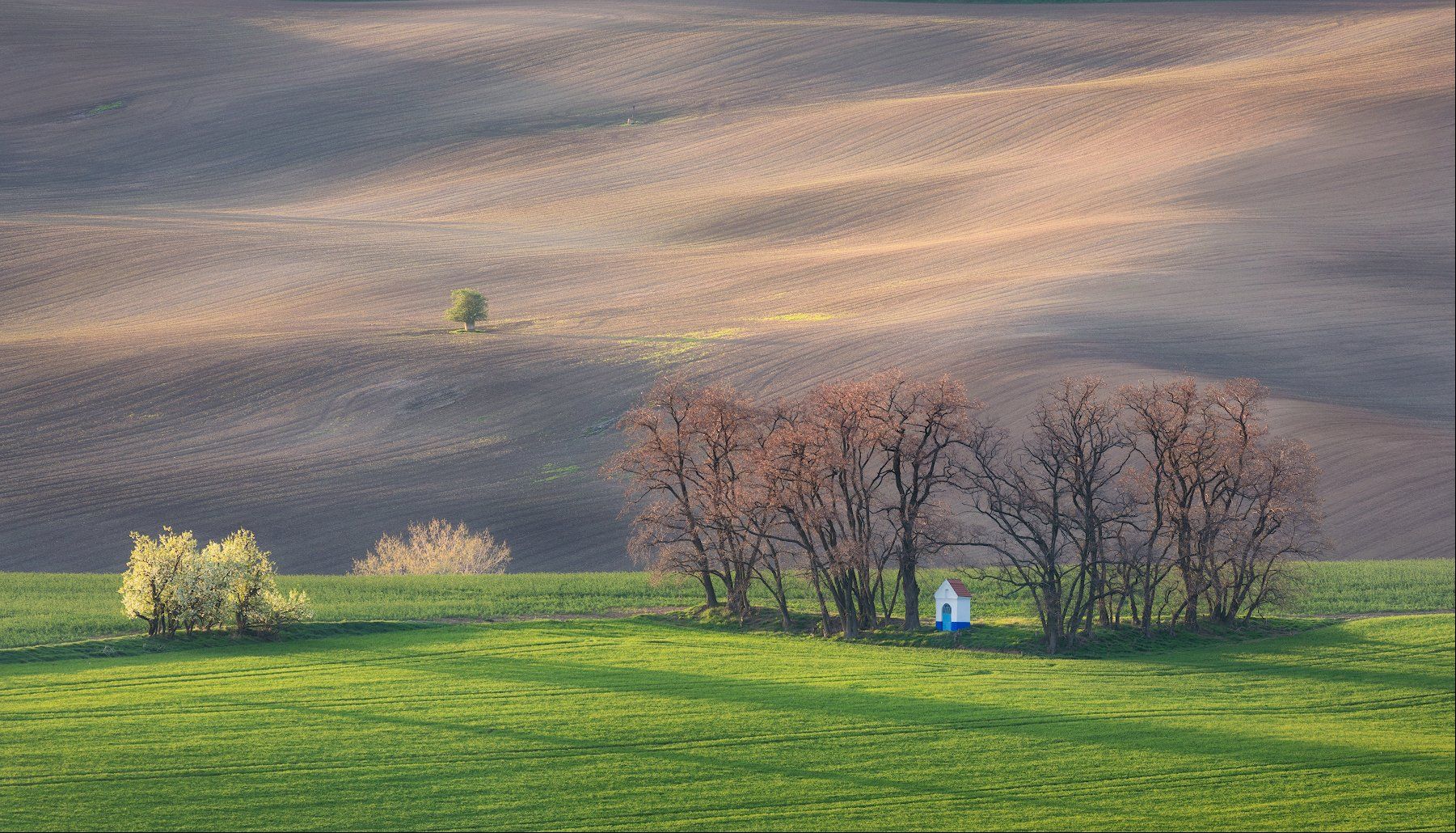 моравия, весна, дерево, трава, green, часовня, Марина Маликова