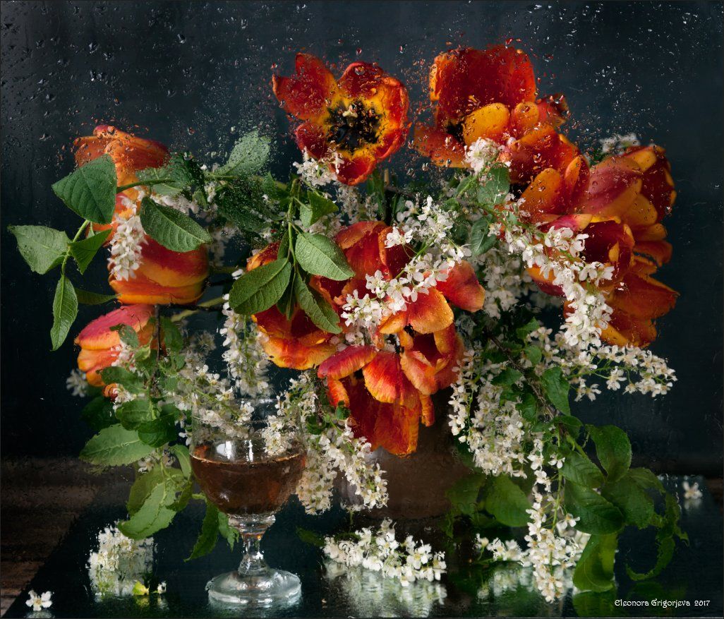 весна, дождь, мокрое стекло, черёмуха, тюльпаны, натюрморт, Eleonora Grigorjeva