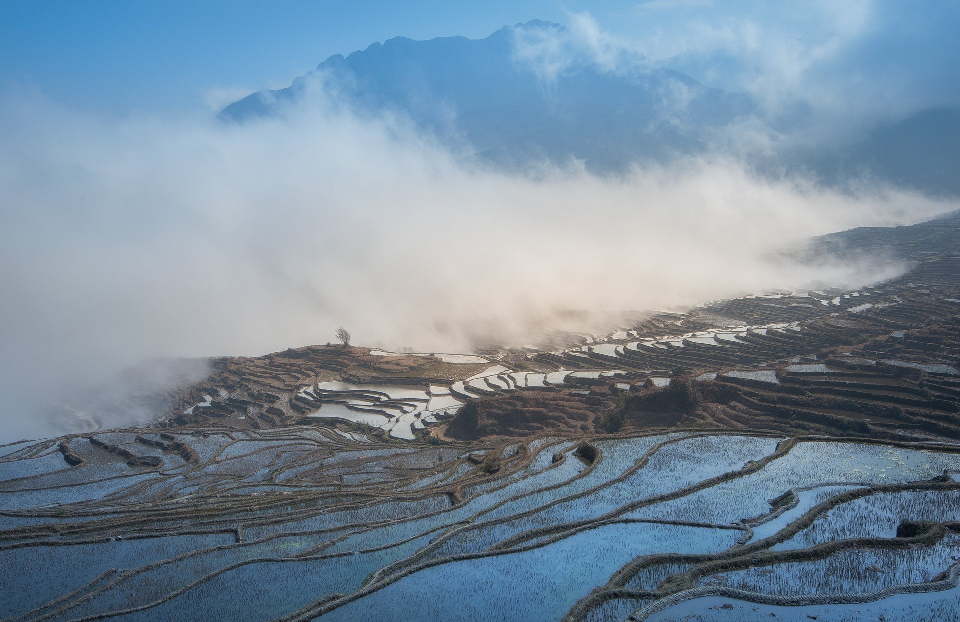 китай рис рисовые террасы туман горы, Юрий Перцов
