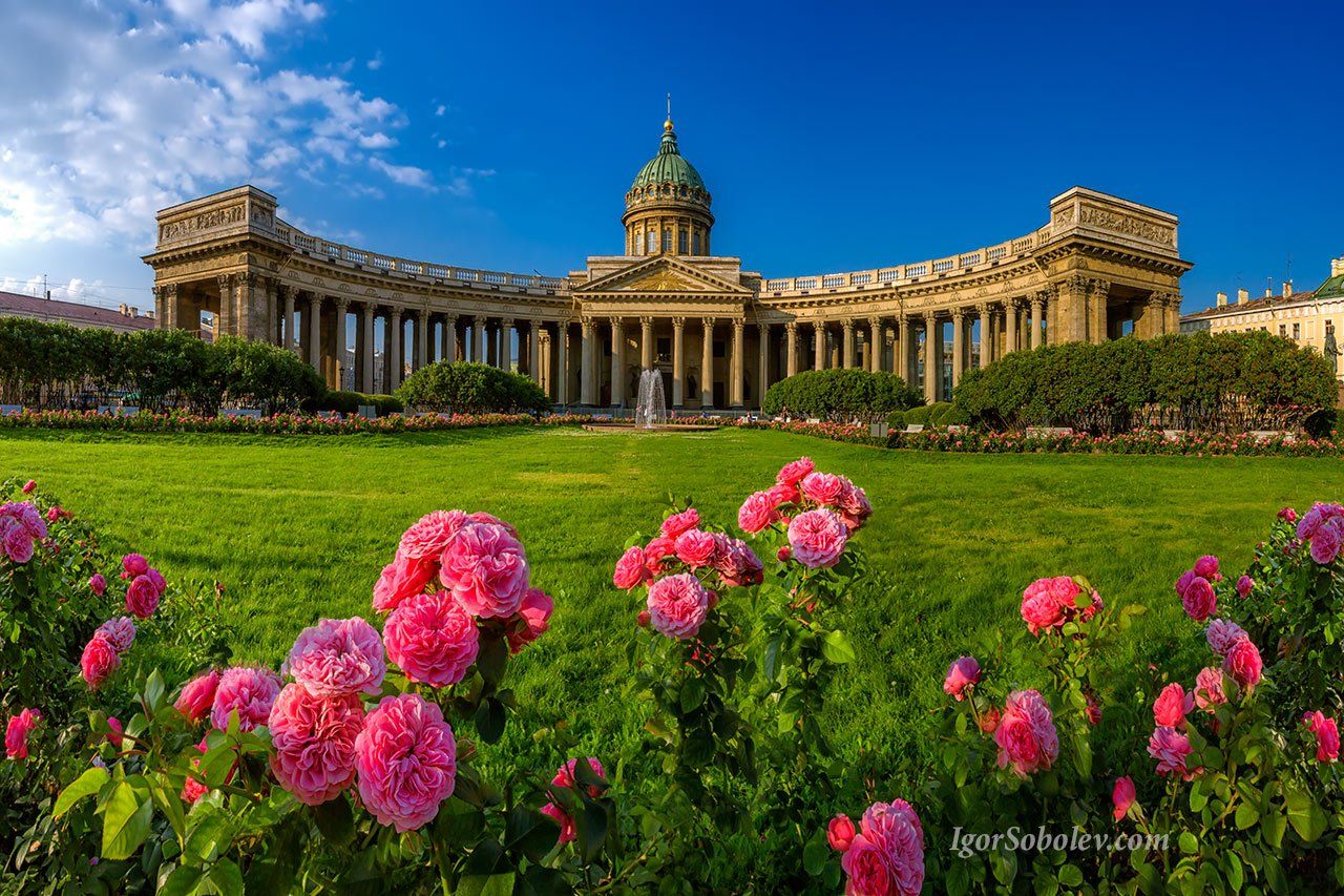 казанский собор, санкт-петербург, россия, цветы, Соболев Игорь