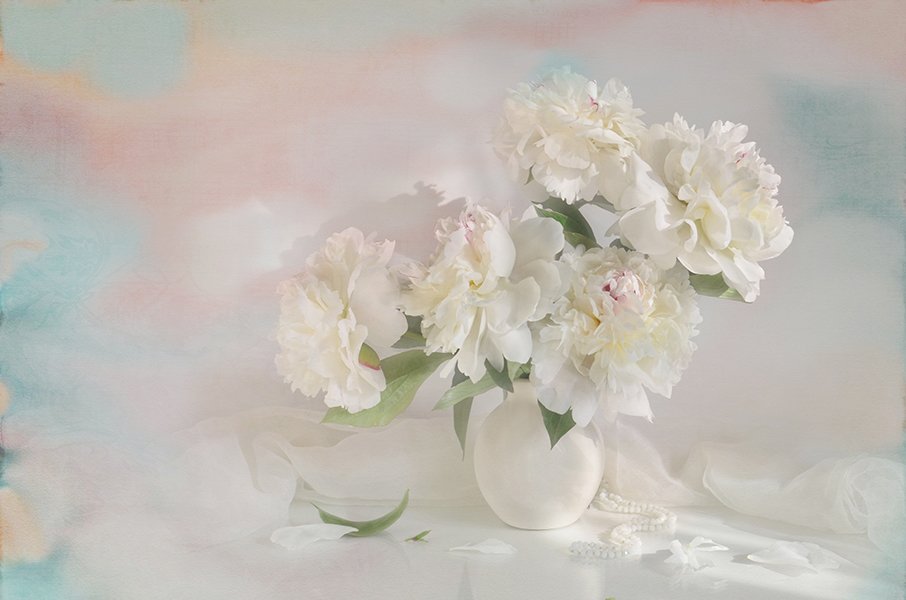 белые пионы весна акварель радость свет, Eлена Шовкопляс