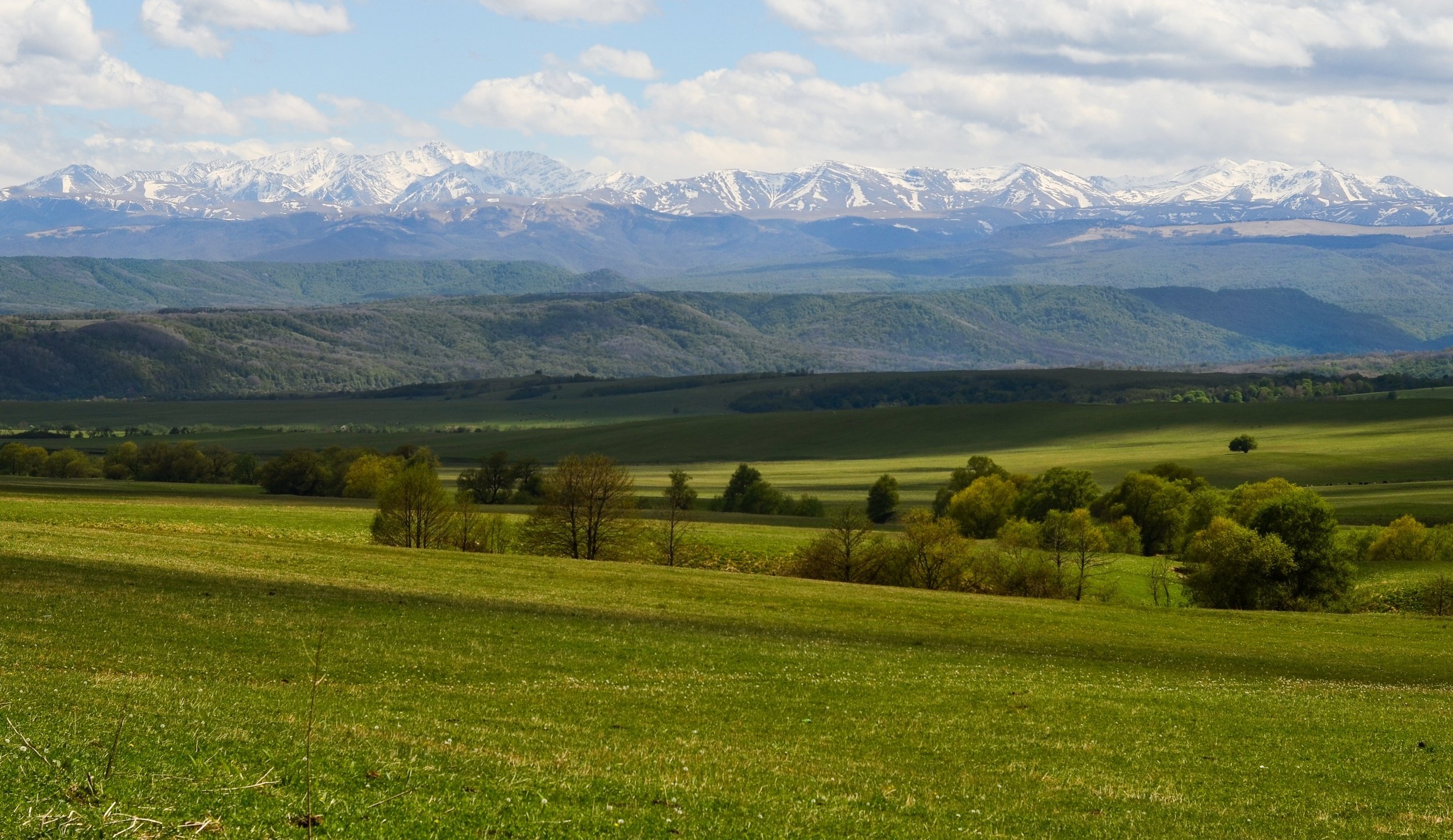 луга, горы, свет, Елена Шевченко