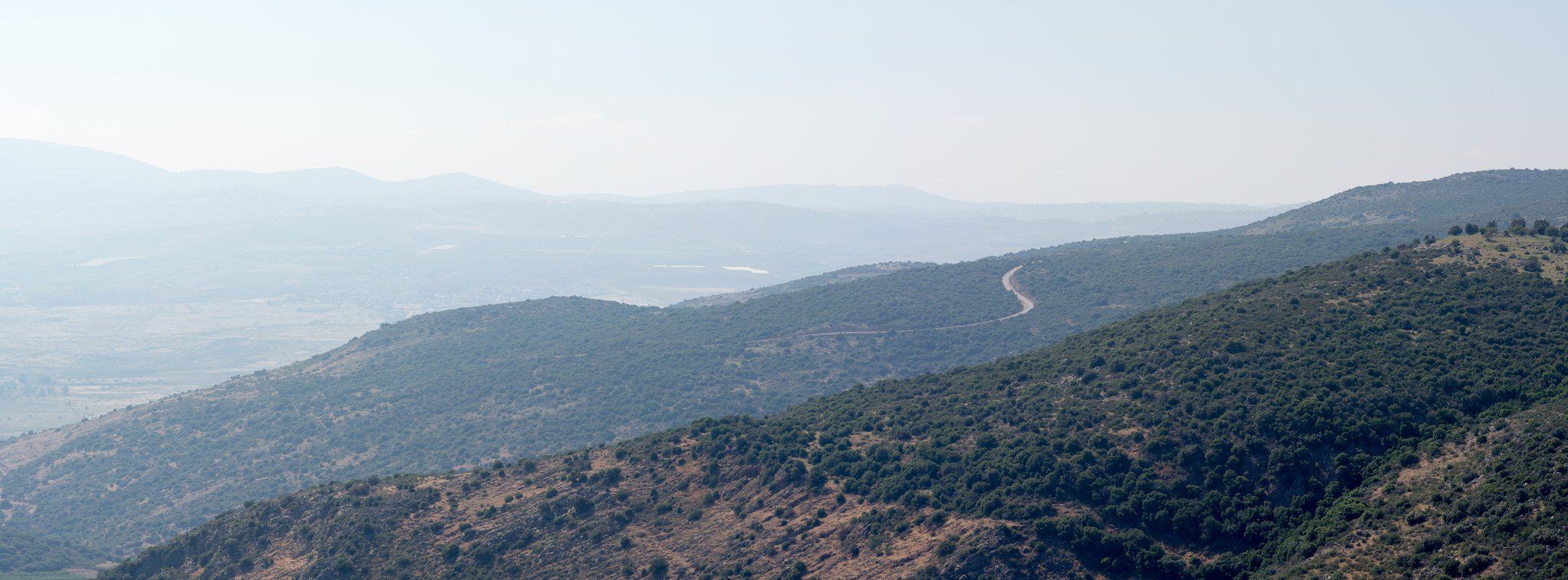 israel hills summer road, Цукерман Михаил
