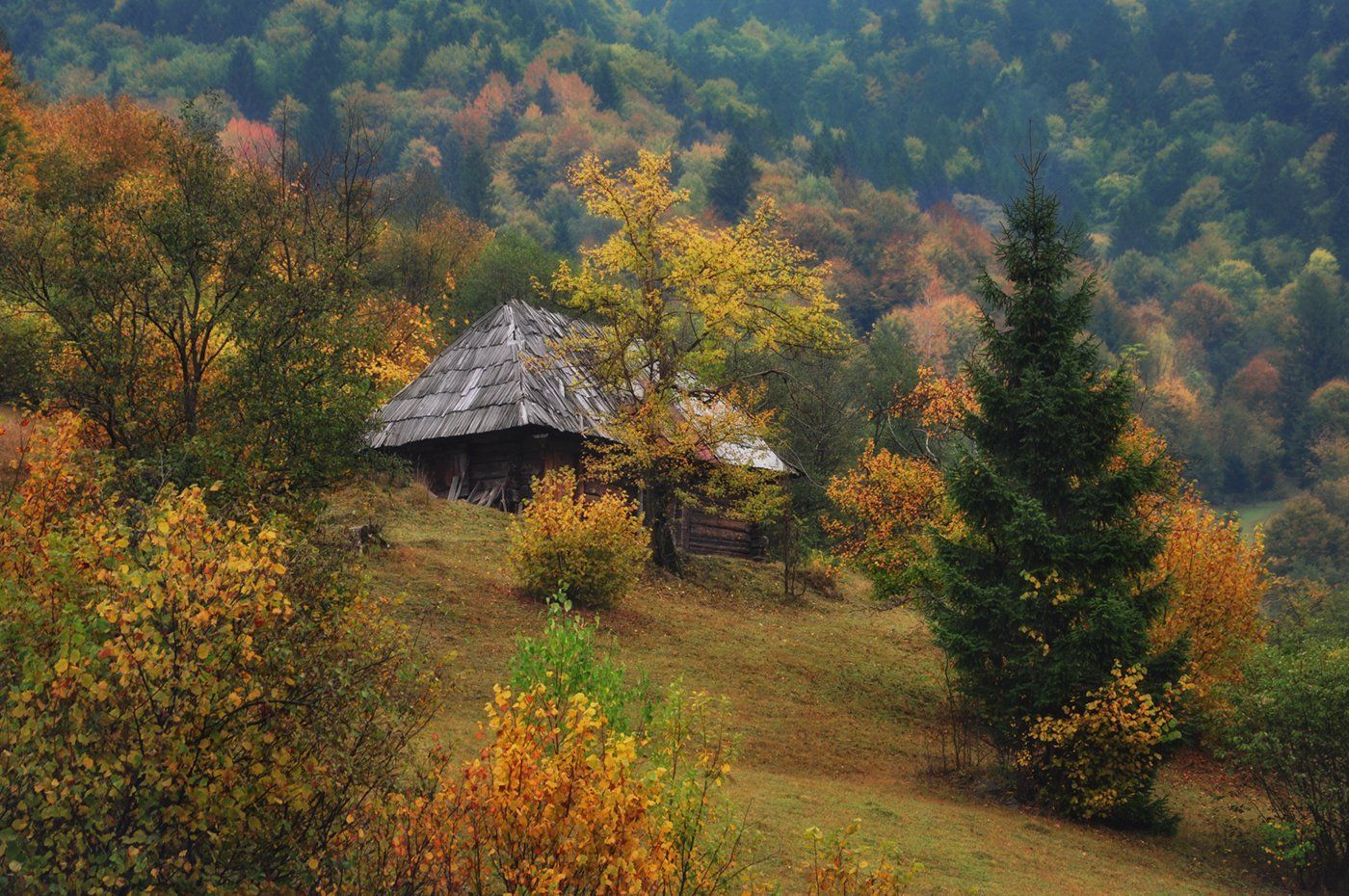 осень, горы, закарпатье, изба, Вьюшкин Игорь