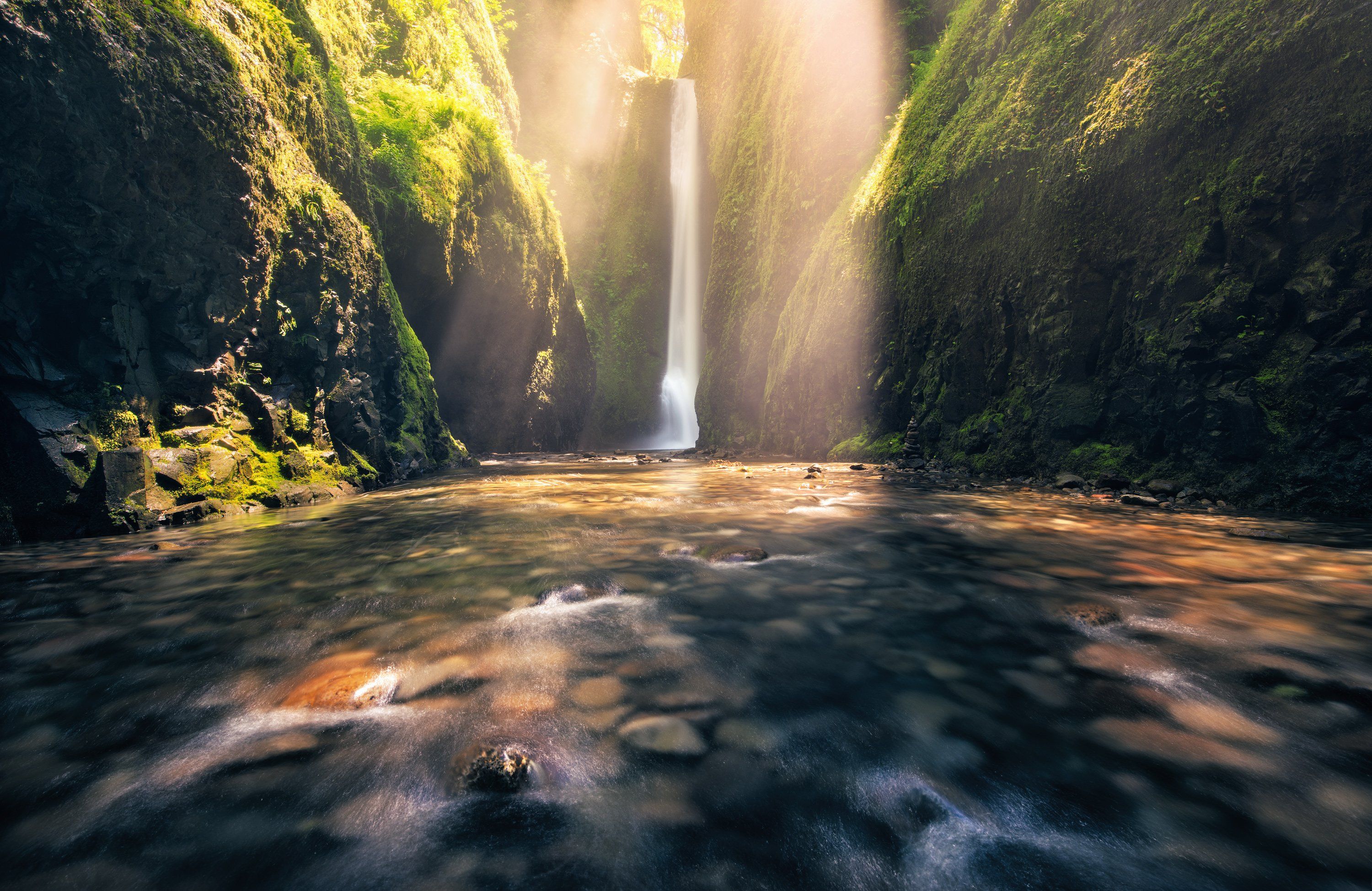 oregon, Nathaniel Merz