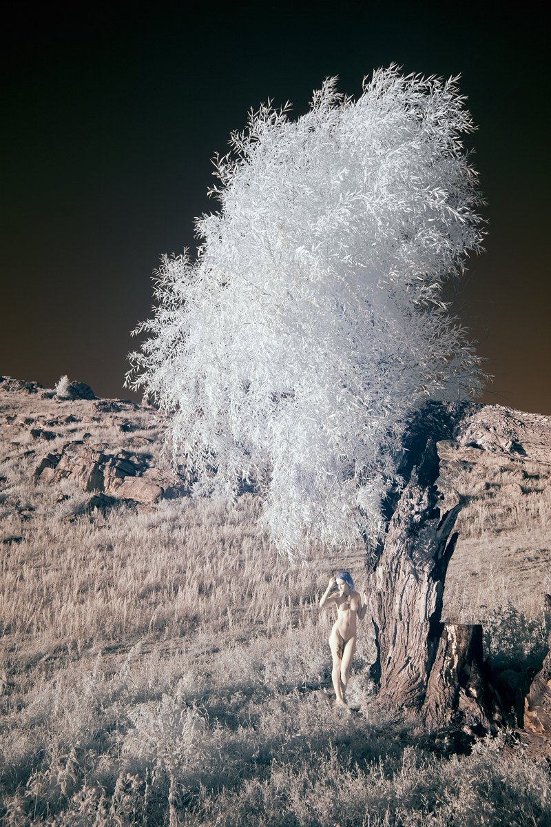 landscape,nude,nu,tree,girl,ir,infrared,, Олег Грачёв