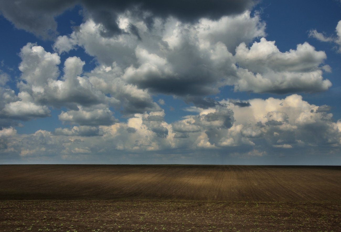 , Животков Андрей