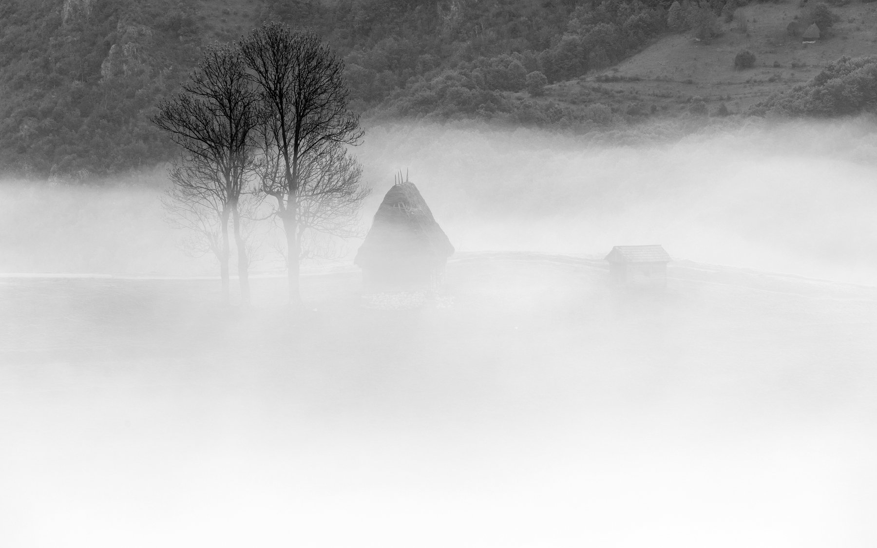 mist,fog,morning,nature,romania,, Marius Turc