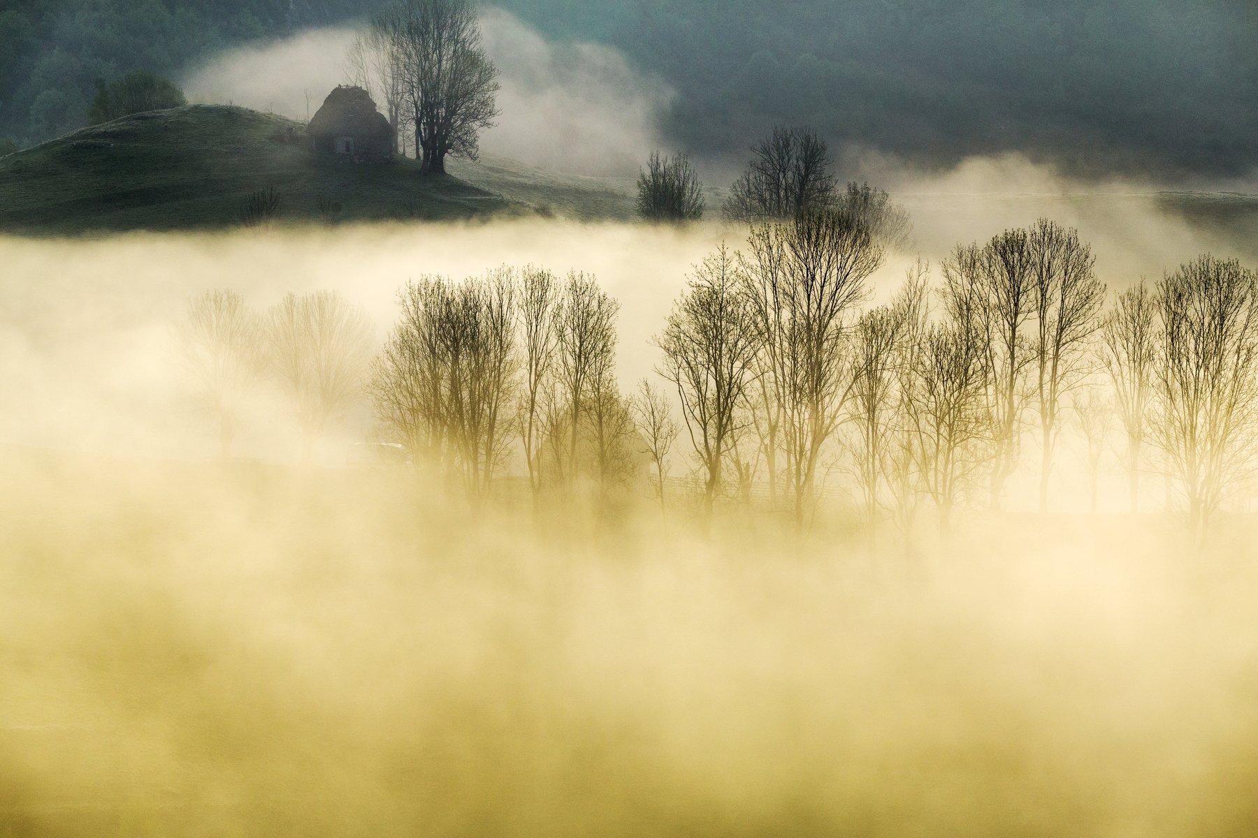 mist,fog,morning,nature,apuseni,Romania, Marius Turc