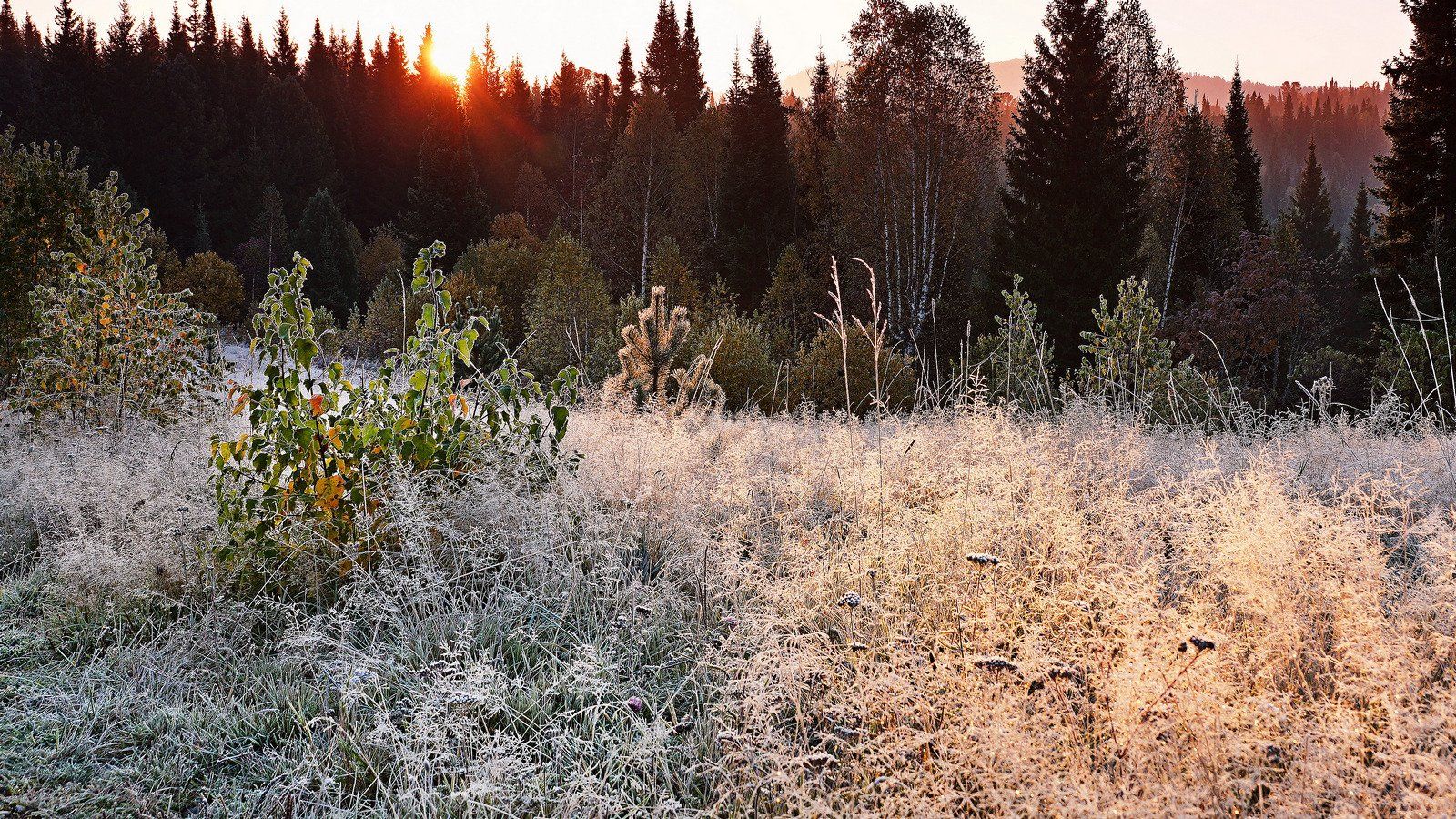 пейзаж, восход, осень, Александр Потапов