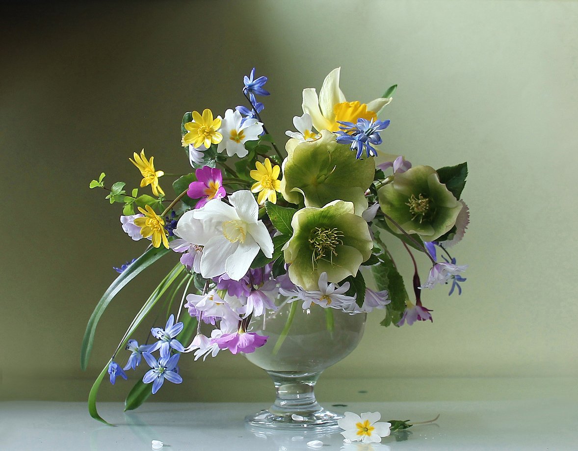 весна, цветы, первоцветы, натюрморт, марина филатова, Марина Филатова