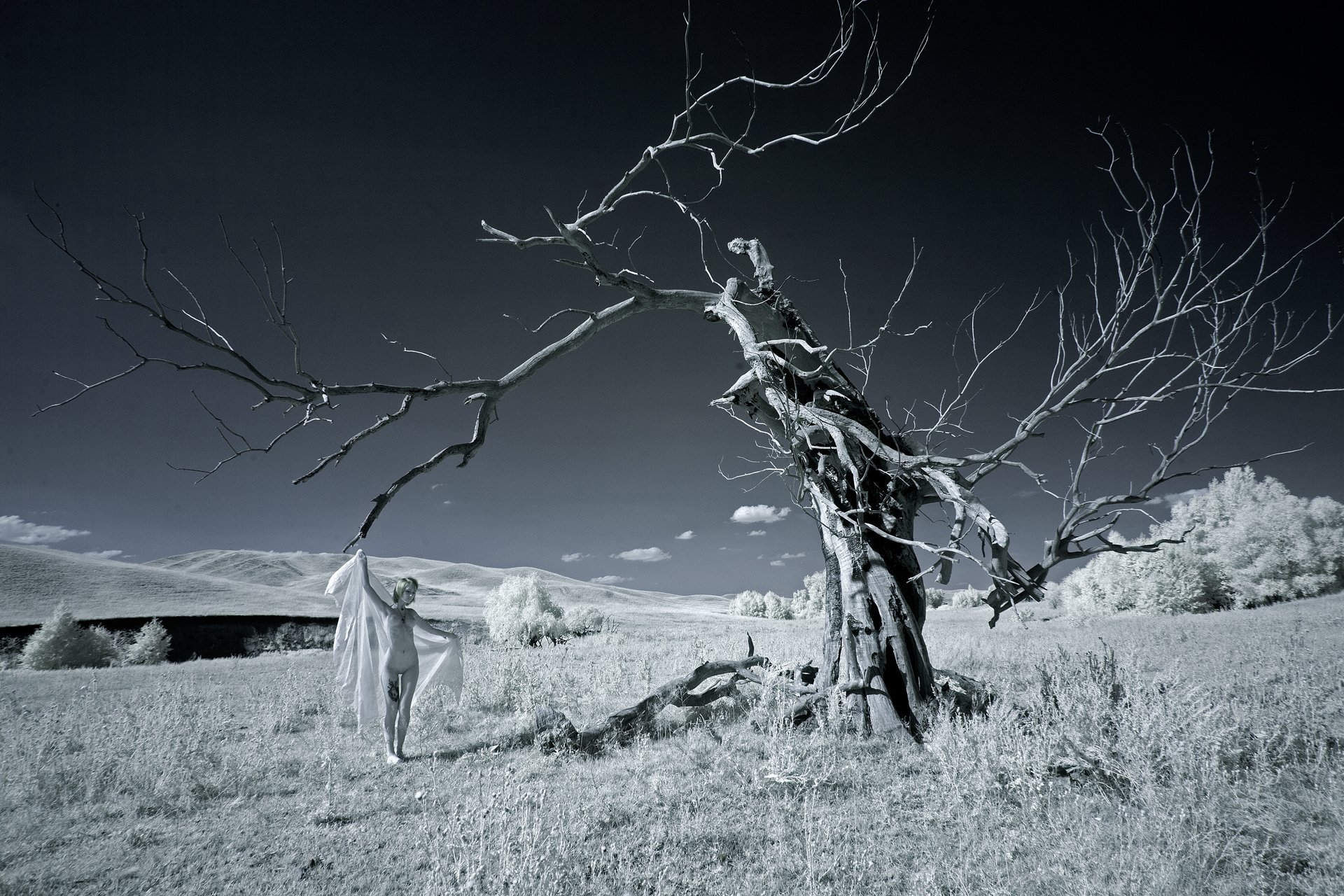 ir,infrared,nu,nude,landscape,tree,girl,, Олег Грачёв
