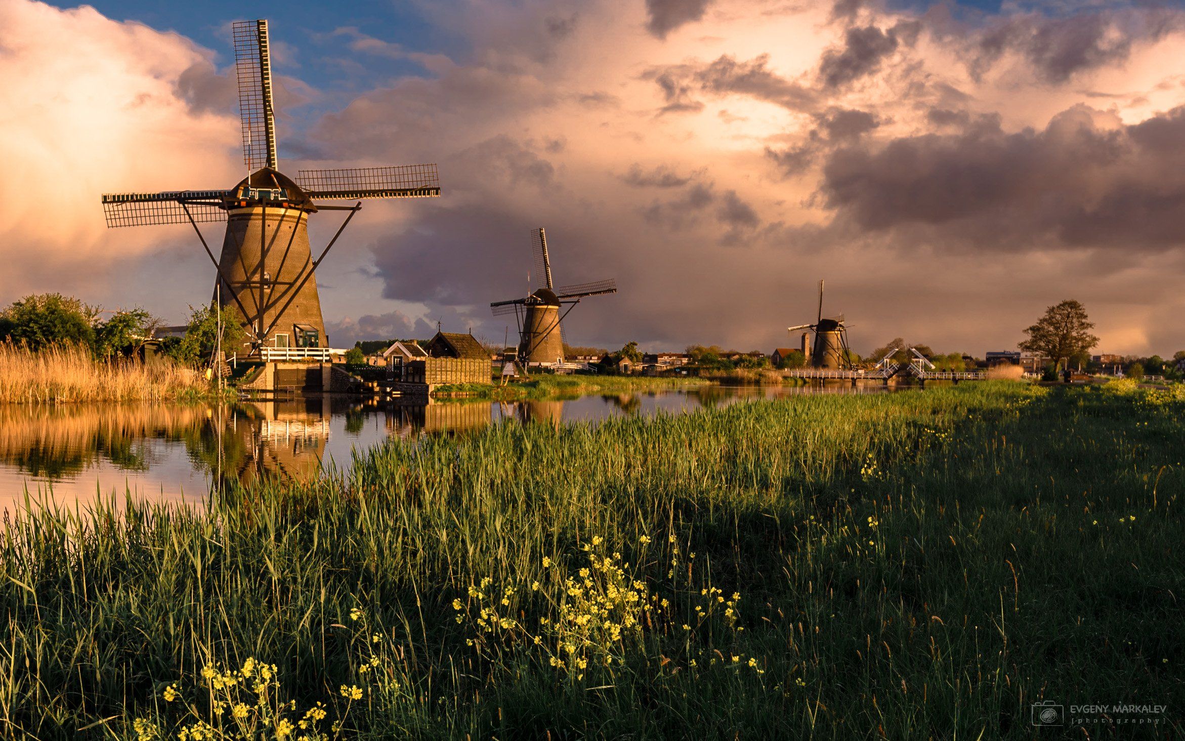 holland, kinderdijk, landscape, Евгений Маркалев