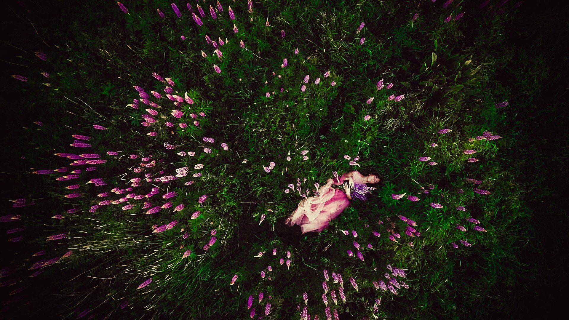 woman, beauty, flowers, outdoor, colors, drone, Руслан Болгов (Axe)