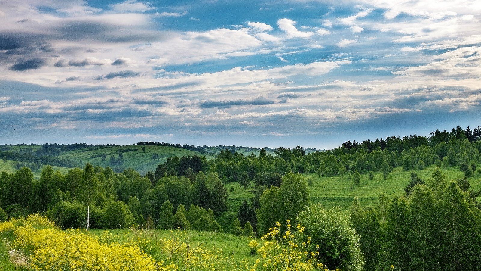 Родная тюменская область. Родные просторы Татарстан. Лесостепь Татарстана. Тайга лесостепь Красноярского края. Родные просторы Татарстана пейзаж.