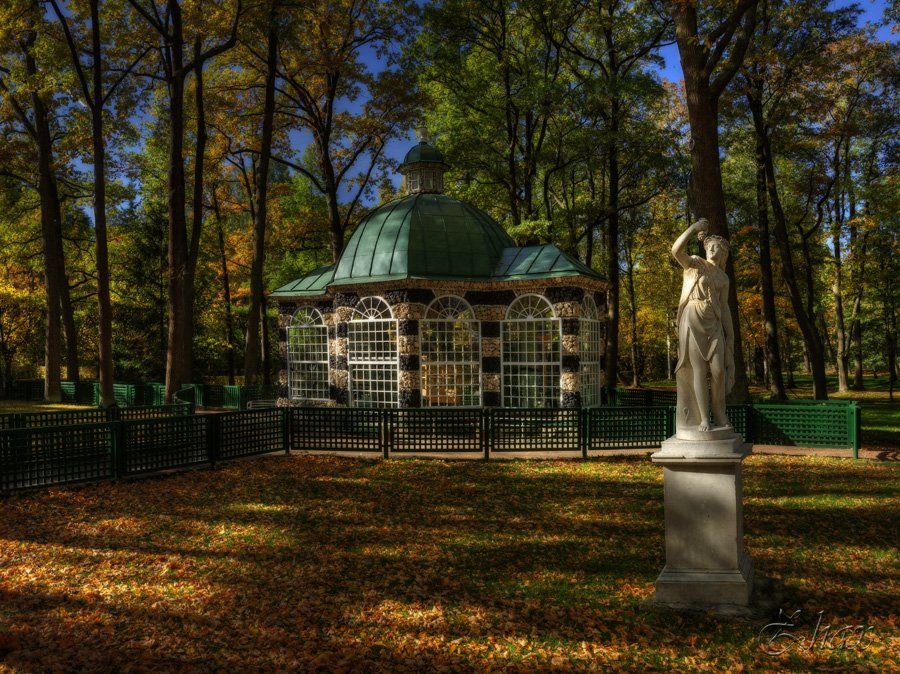 осень, парк, петергоф, Малыш