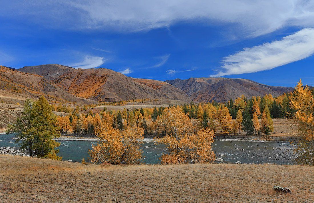природа, пейзаж, осень, алтай, река, горы, Sokolova Tatiana