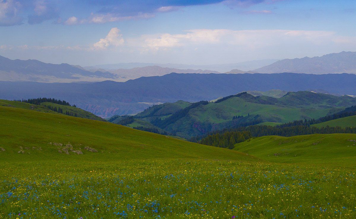 плато, горные луга, горные цветы, лето, осень, казахстан, Ilia Afanasieff