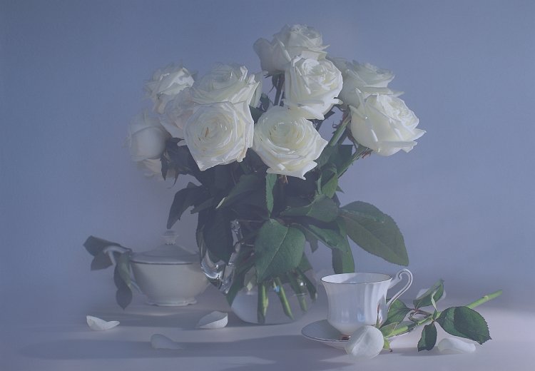 белые, розы, фото, натюрморт, Ольга Горелова
