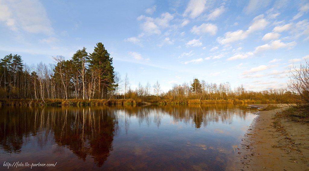 осень, река, лес, окский биосферный заповедник, панорама, Андрей Алексеев