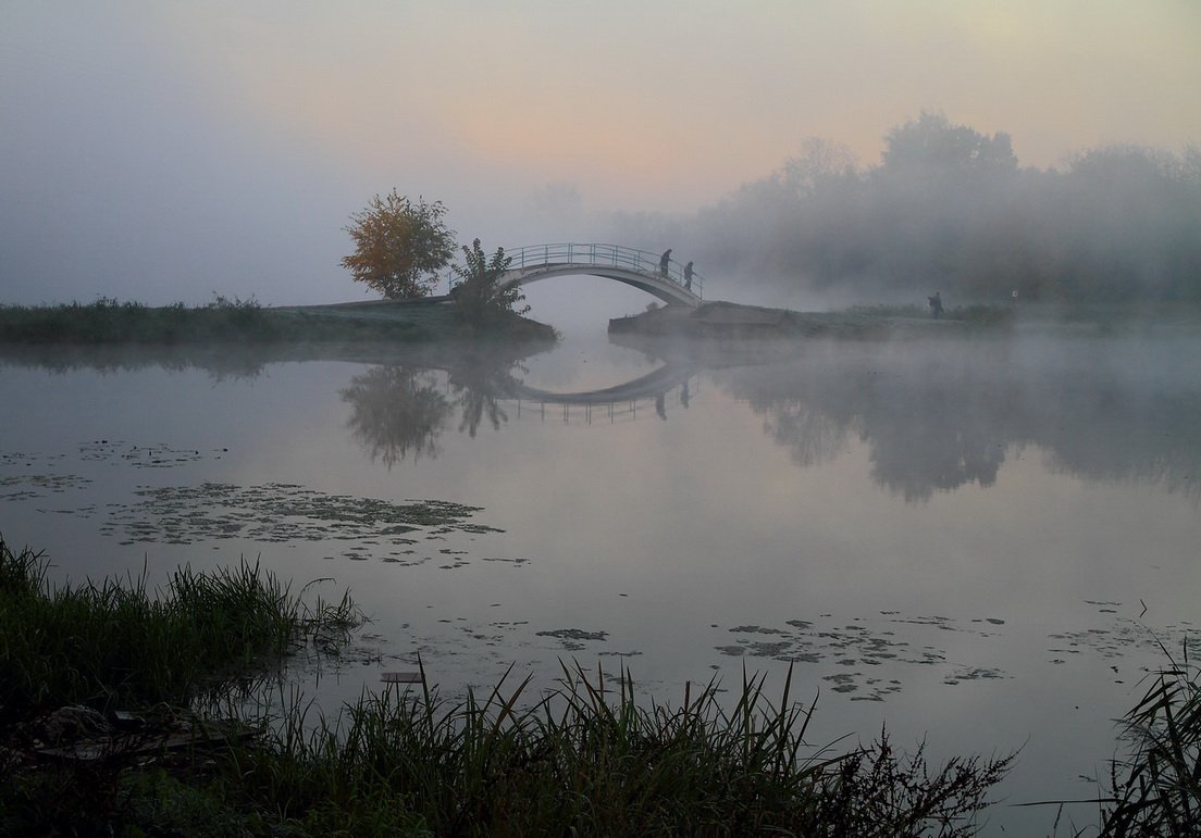 туман,природа,пейзаж, Оля Маркова