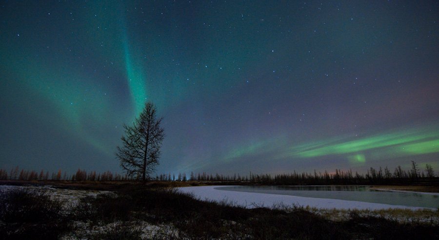 aurora borealis, северное сияние, природа, ночной пезаж, север, Danil Husainov