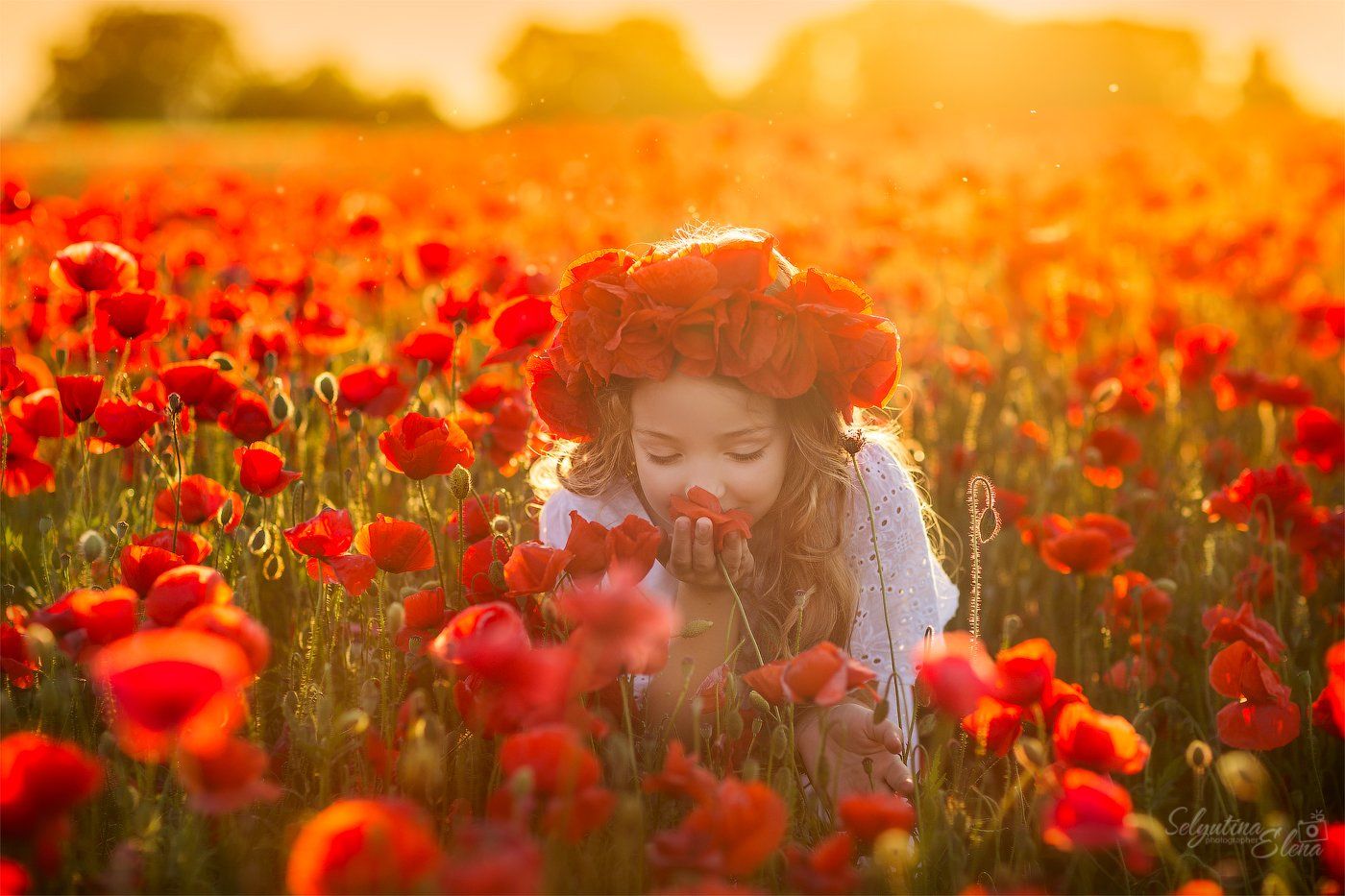 маки, маковое поле, детская фотография, poppies, Elena Selyutina
