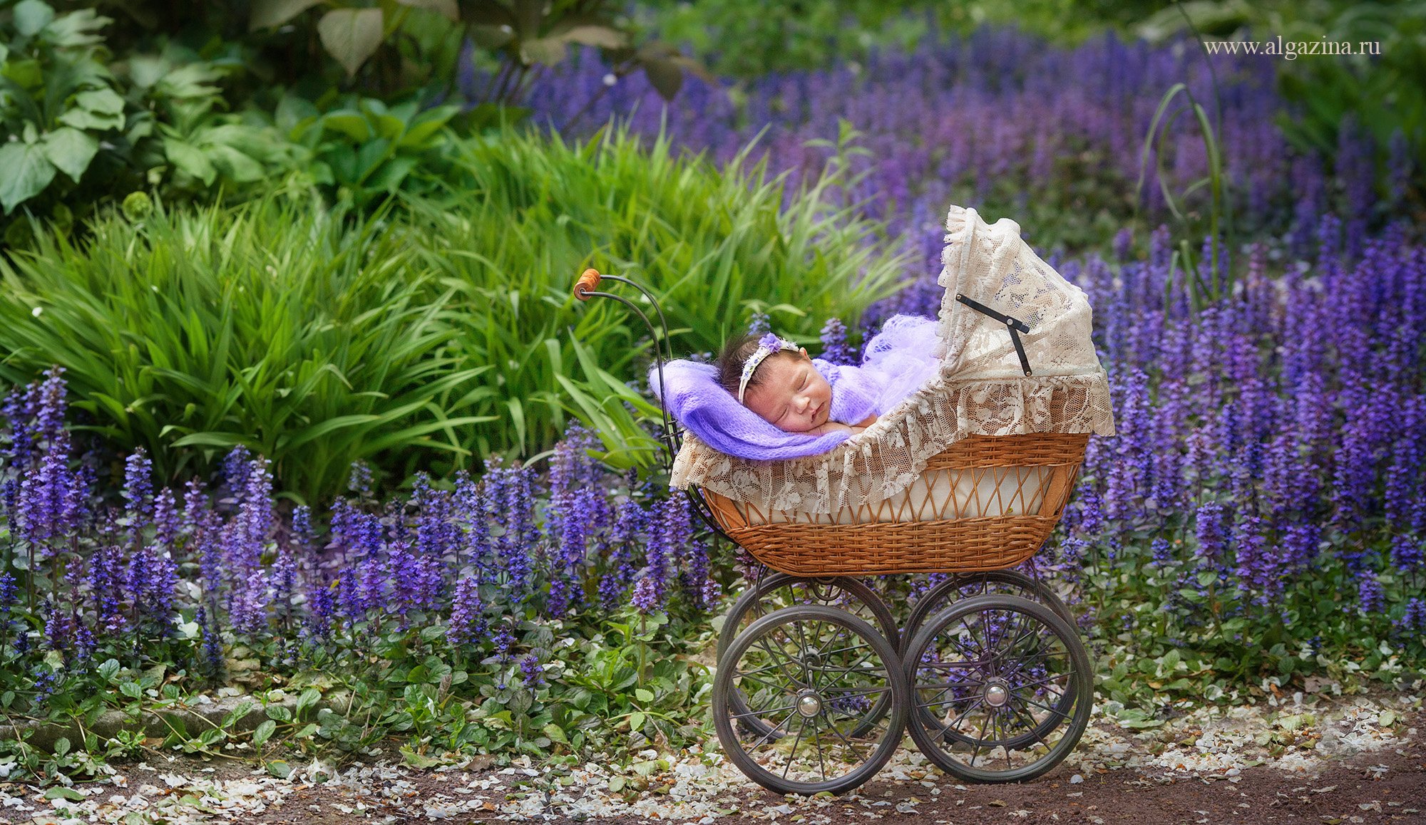 новорожденный младенец дети малыш детская фотография newborn baby babygirl, Елена