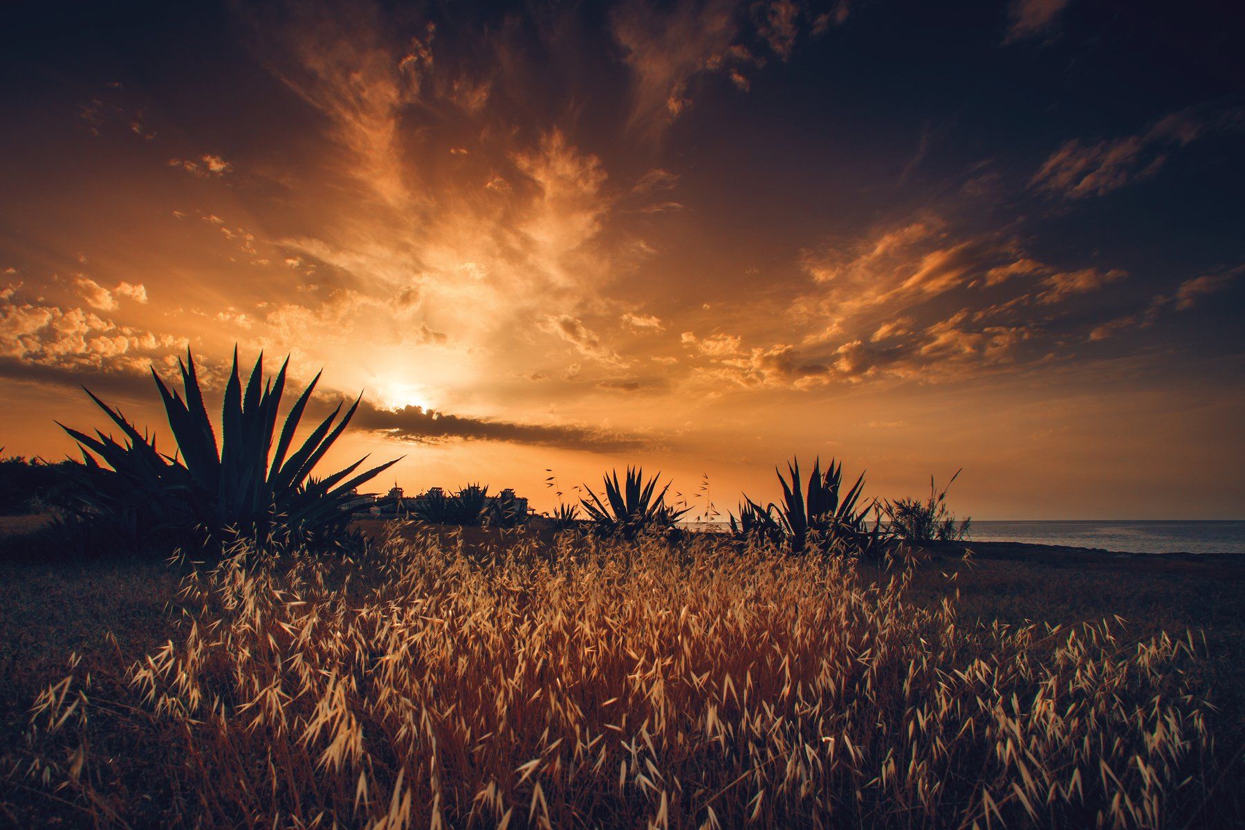 sunset, golden hour, cyprus. colors, Руслан Болгов (Axe)