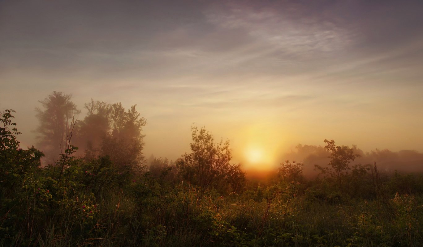 утро, рассвет, туман, солнце, свет, Валерий Чичкин
