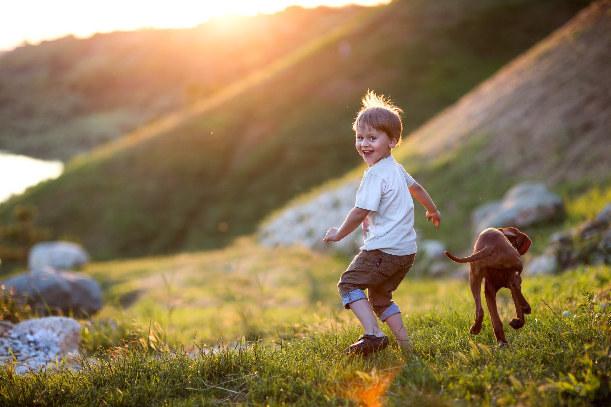 ребенок собака бежать закат свет смех игра веселье догонять трава, Евгения Брусенцова