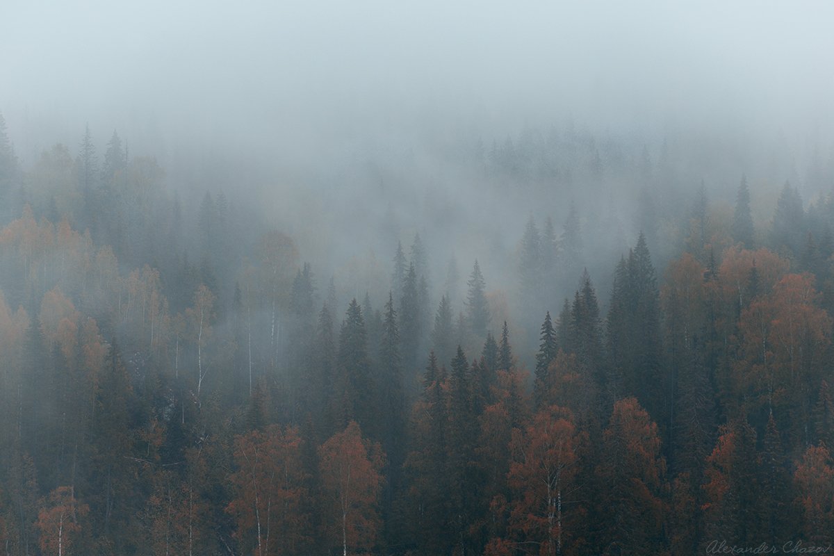 урал, тайга, лес, туман, осень, пейзаж, природа, Александр Чазов