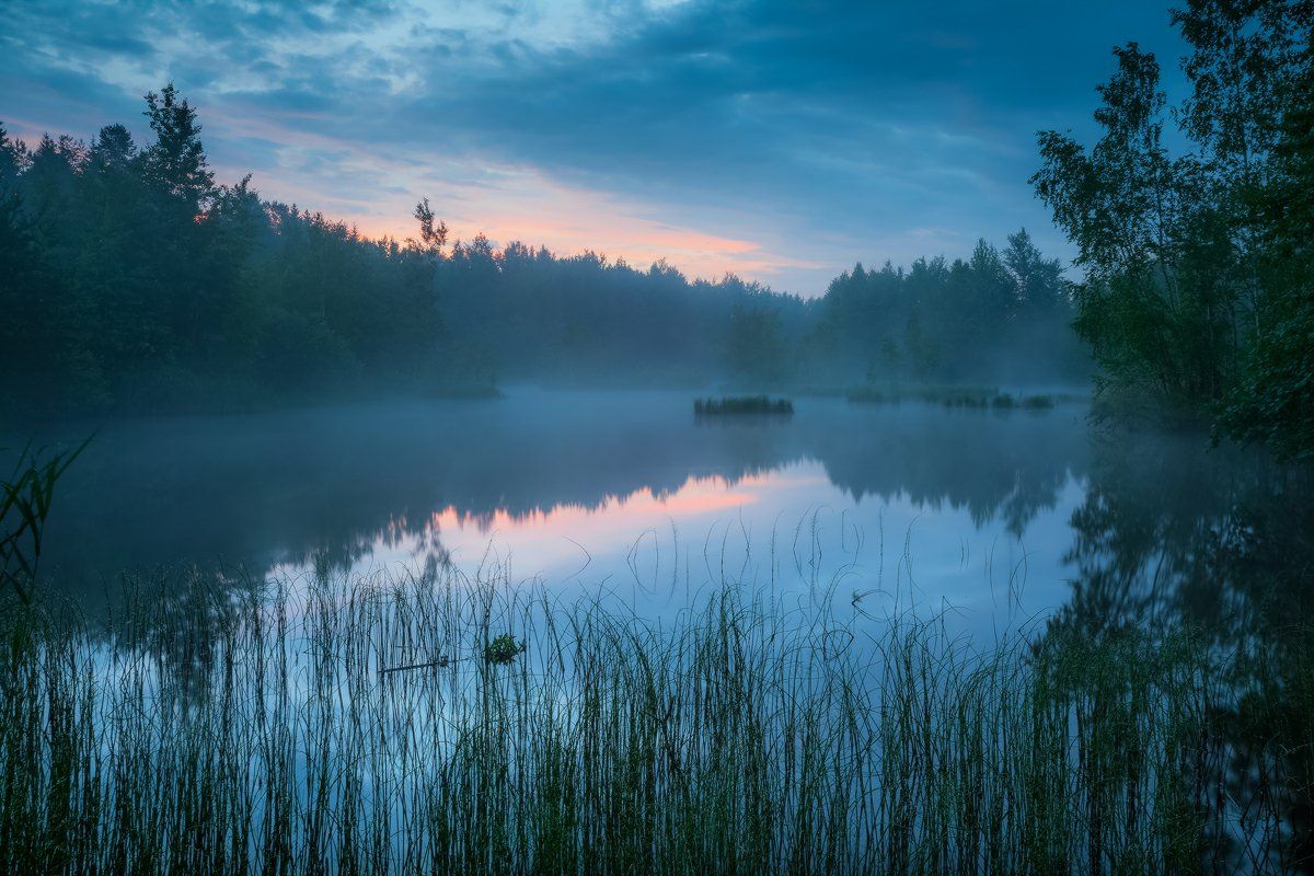 утро, лето, озеро, тишина, природа, благодать, Копычко Михаил