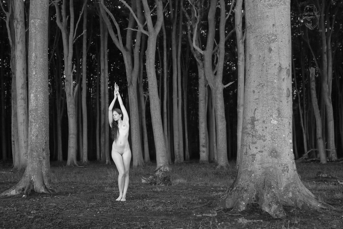 wald, wood, baum, tree, nude, girl, artnude, art, nature, Dieter Kittel