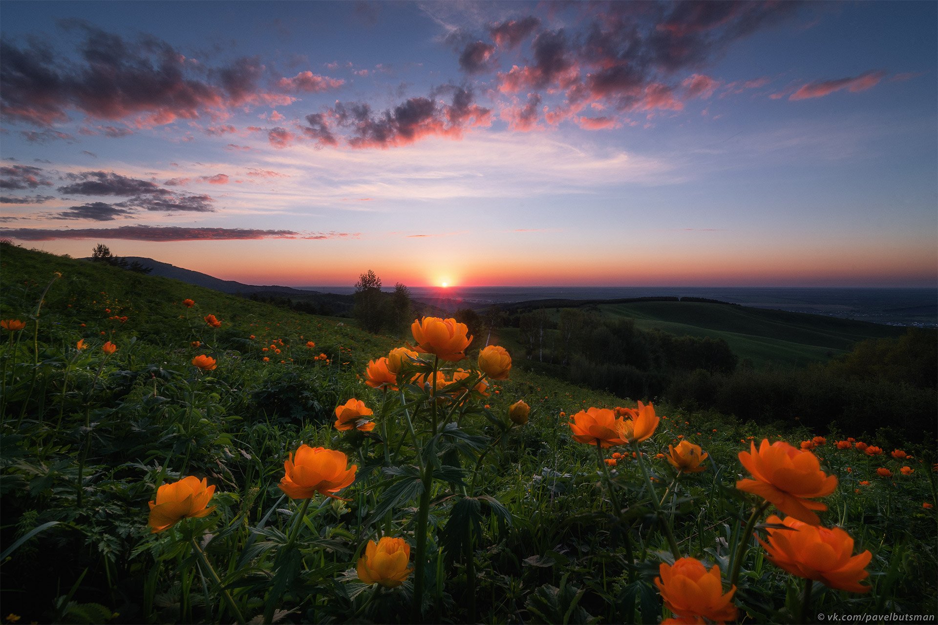 Алтай, закат, пейзаж, цветы, белокуриха, Павел Силиненко