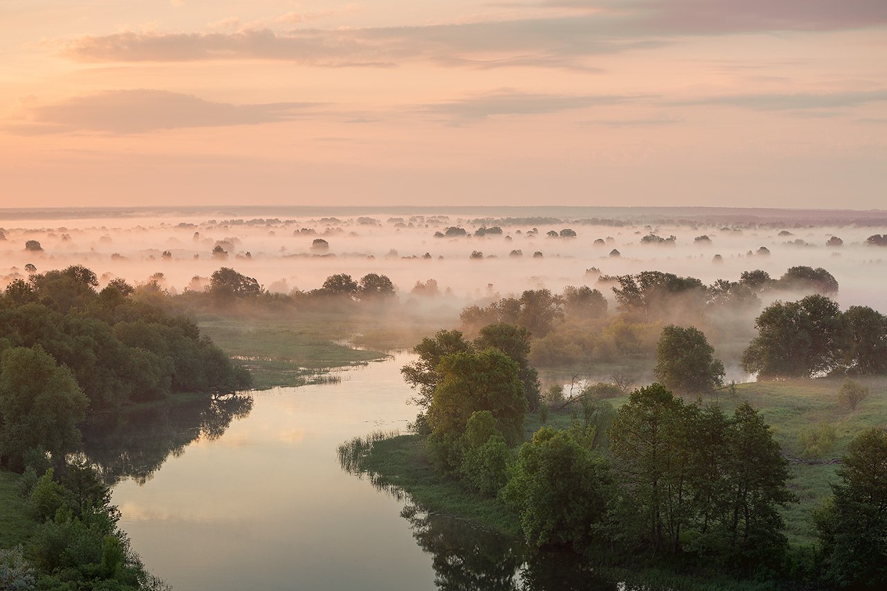 утро,туман,река,свет,лето,пейзаж, Юрий Сорокин
