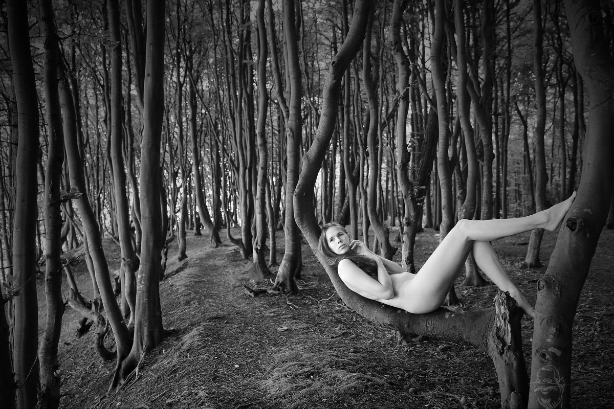 wood, tree, nude, girl, artnude, art, nature, Dieter Kittel