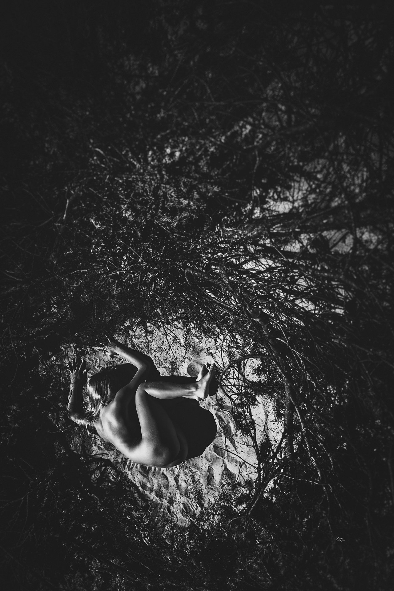 woman, nude, nest, black and white, Руслан Болгов (Axe)