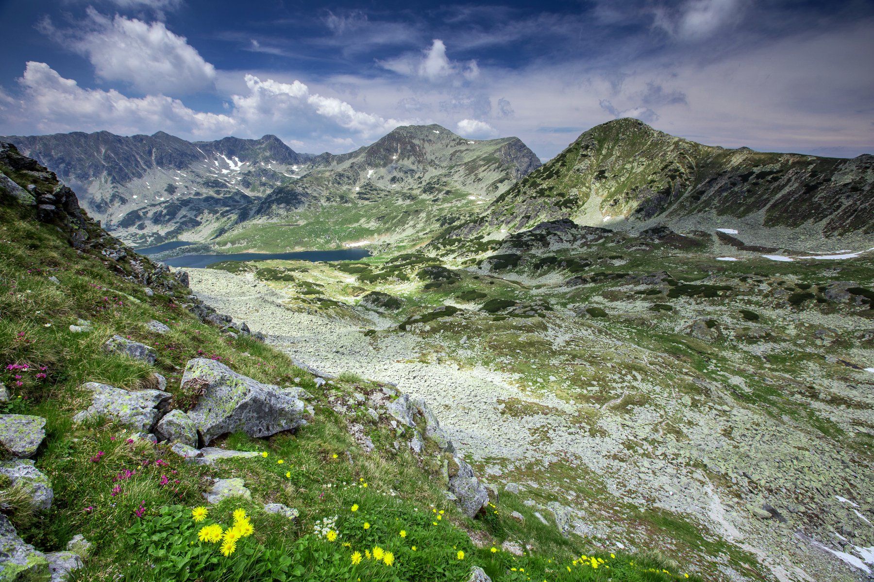 mountains,Retezat,colors,flowers,lake,Romania,, Marius Turc