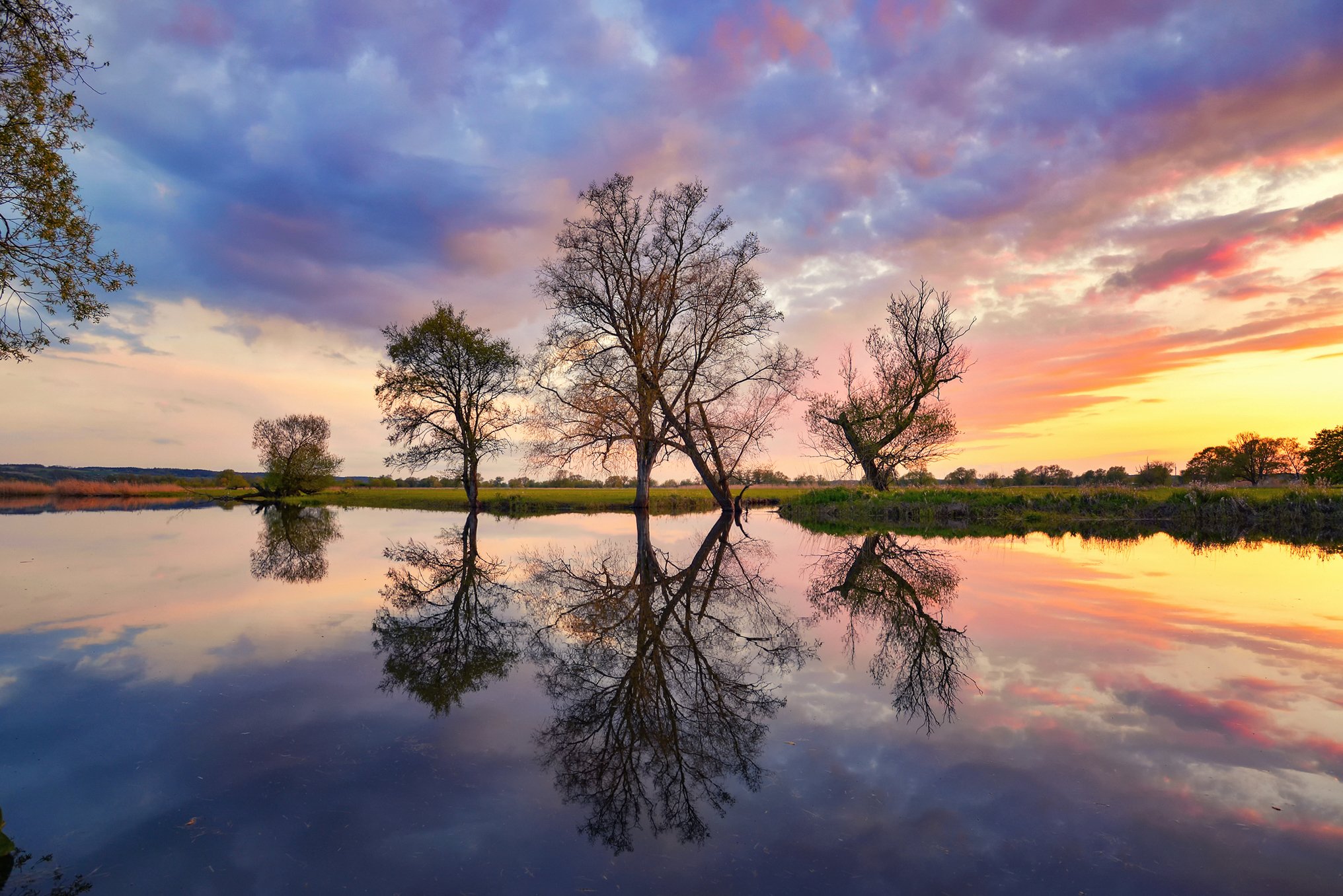 reflection odra mirror water poland tree trees silence dranikowski magenta sunset, Radoslaw Dranikowski