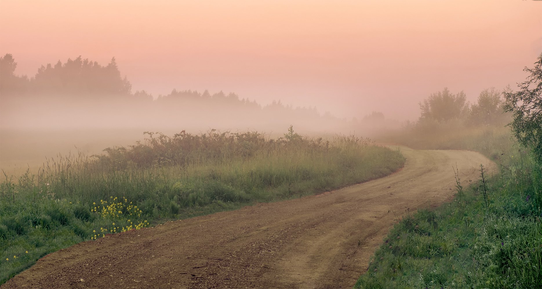 fog,summer,road,forest, Daiva Cirtautė